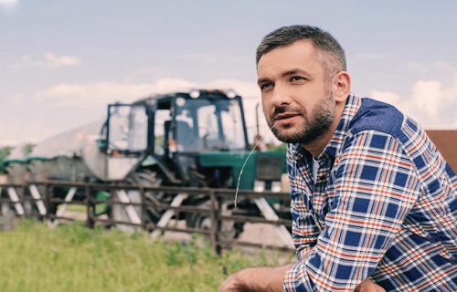 Luminor: pērn par 25% audzis piešķirtais finansējums lauksaimniecības un mežsaimniecības nozarēm