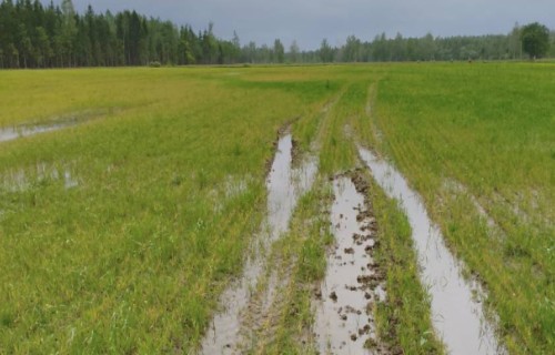 Atkāpes nosacījumu izpildē 2025. gadā nelabvēlīgo laikapstākļu dēļ