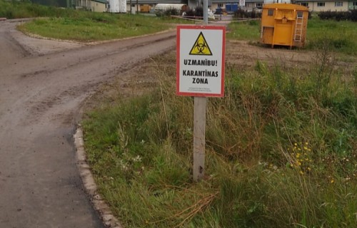 Cūku novietnē ar 20 tūkstošiem cūku konstatēts Āfrikas cūku mēra uzliesmojums