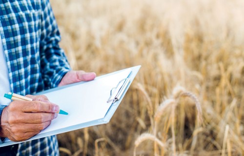 VID uzziņa par PVN mantas ieguldījumiem zemnieka saimniecībā