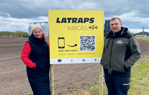 Darāmais zirņu laukos vasarā