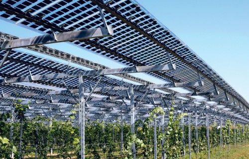 Saules enerģijas ražošanas un lauksaimniecības sinerģijas nākotne