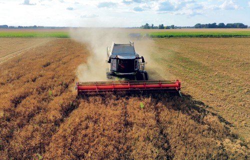 Zirņu kulšanas izaicinājumi un risinājumi: pieredze, tehnoloģijas un prakse
