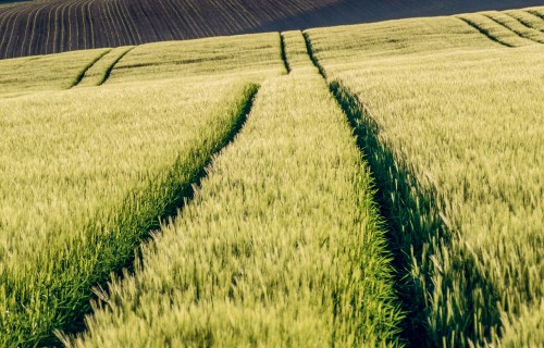 Minerālmēslu tirgus jaunā realitāte