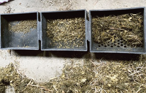 Subakūta spurekļa acidoze un TMR kvalitāte