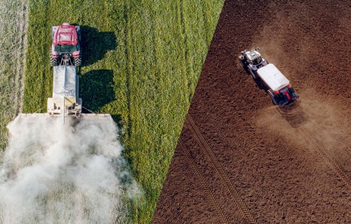 5 biežāk pieļautās kļūdas augsnes kaļķošanā un kā tās novērst