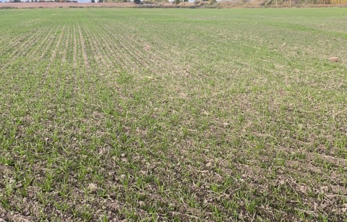 Ja lauksaimnieks pieteiksies 4.ekoshēmas atbalstam, jāgatavo fotoattēli