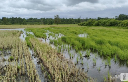 ZM aicina lauksaimniekus turpināt ziņošanu par ārkārtas situācijā cietušajām platībām un nozarēm
