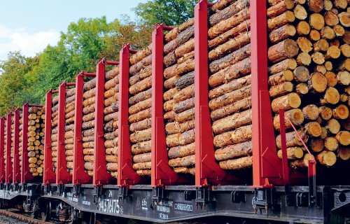 Kā piemērot PVN, ja kokmateriālus transportē pircējs ārvalstīs?