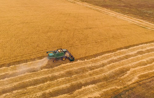 Pietiekams barības nodrošinājums rudenim – būtisks solis ražas potenciāla veidošanā