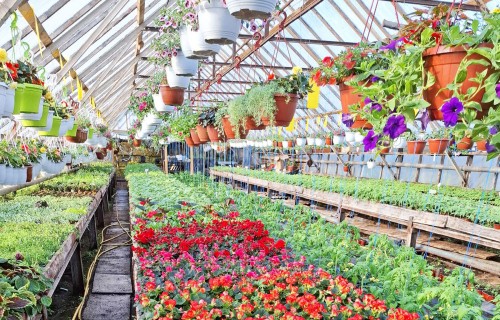 Bērnības sapnis - sava siltumnīciņa