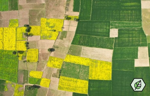 Jauns digitāls rīks bioloģiskās biškopības atbalstam: BeeLand Bio