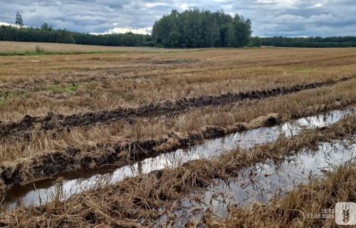 Paziņojumu iesniegšana LAD par laikapstākļu radītajiem postījumiem jāveic līdz 4.novembrim
