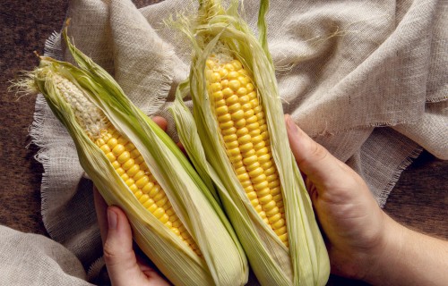 Kukurūza augstvērtīgas skābbarības ieguvei – audzēšanas izaicinājumi