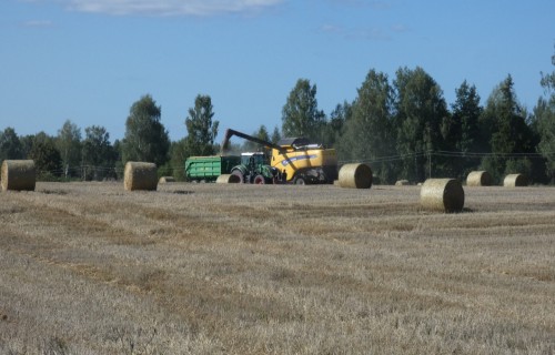 Iedzīvotāju nodrošinājums ar pārtiku ir tieši atkarīgs no ES atbalsta lauksaimniekiem