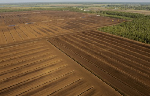 PeatTransform projekts - Latvijas dabas resursu ilgtspējīga izmantošana