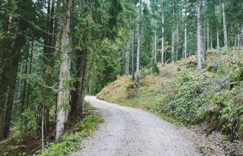MKPC jau divus gadus piedalās starptautiskā projektā SUPERB!