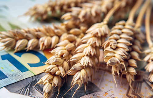 Starp ražas cerībām, izmaksu realitāti un finanšu disciplīnu