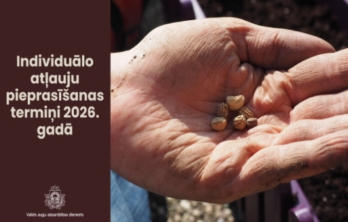 Konvencionālu sēklu izmantošanai bioloģiskajā ražošanā 2026. gadā jāpieprasa individuāla atļauja