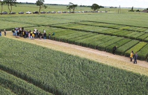 Lauksaimnieki gūst un novērtē neatkarīgu informāciju