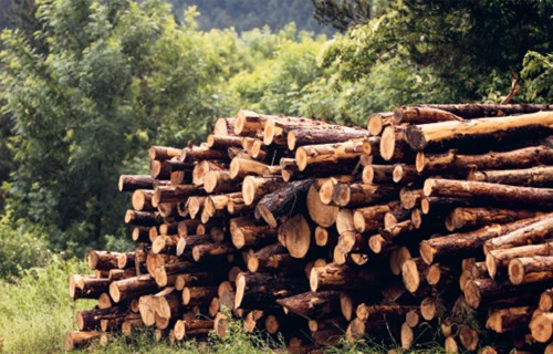 Mežsaimniecības transporta elektrifikācija