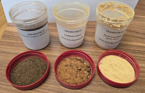 Jaunas prebiotikas dējējvistām no vietējām izejvielām