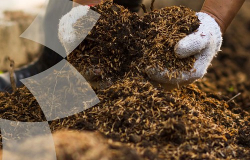 Publicēta “Kompostēšanas rokasgrāmata”