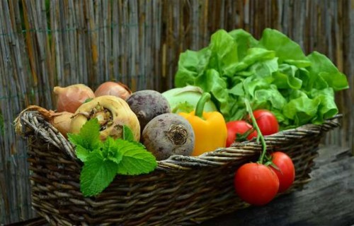 Ar atbalstu sekmēs vietējās pārtikas piegādi skolām, slimnīcām un citām iestādēm