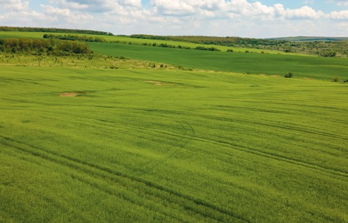 Kā 2026. gadā saimniekot efektīvāk – Agronomu Brokastu semināra atziņas