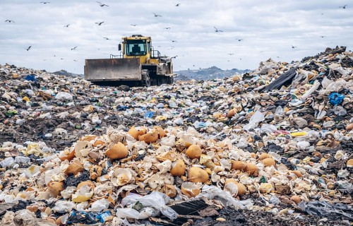 Olu čaumalas: no pārtikas blakusprodukta līdz vērtīgam nākotnes bioresursam