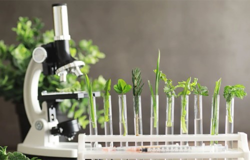 Pētniecībai un sabiedrības izglītošanai šogad pieejams vairāk nekā 1 miljons eiro no Meža attīstības fonda