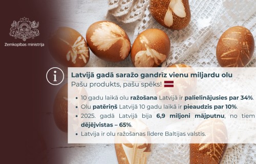 Latvijā gadā saražo gandrīz vienu miljardu olu