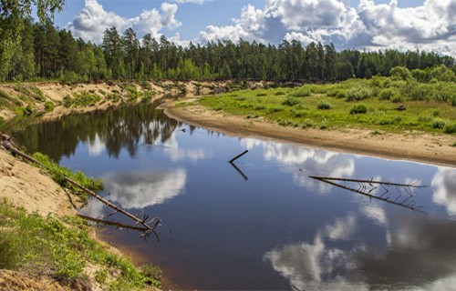 Dabas aizsardzības plāni ir ceļa karte dabas vērtību saglabāšanai un zemes īpašnieku iespēja ideju īstenošanai