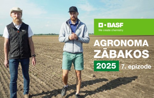 Agronoma Zābakos 2025 - 7. epizode | BASF